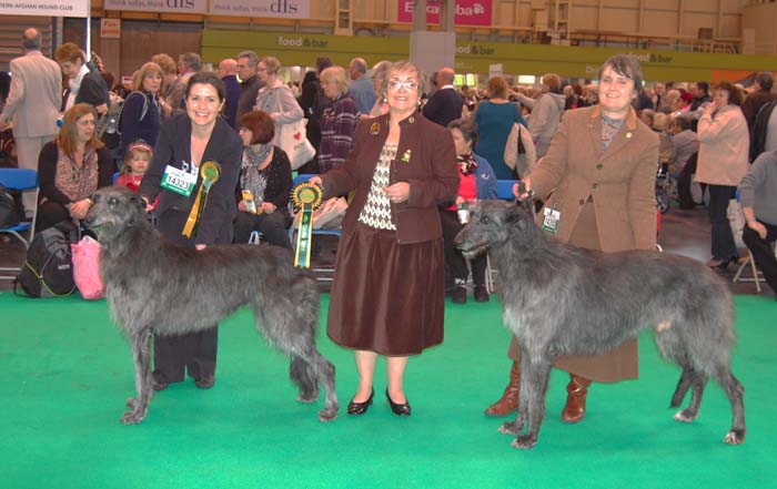 Crufts 2011 CC Winners